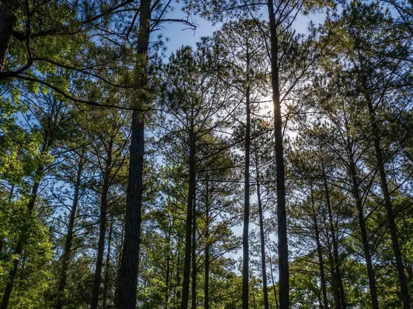 0 Morgan Mill Rd #5, Senoia, GA 30276
