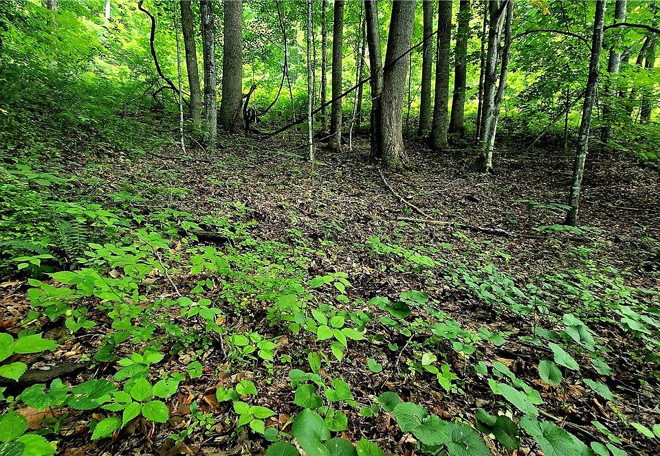 1st image of Lot 18 Elk Creek Mountain Parkway