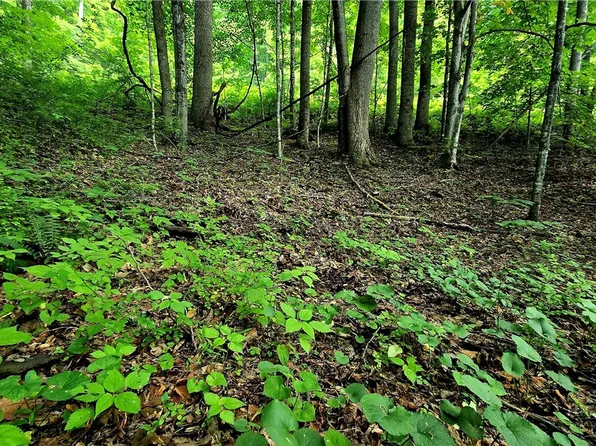 Lot 18 Elk Creek Mountain Parkway, Todd, NC 28684
