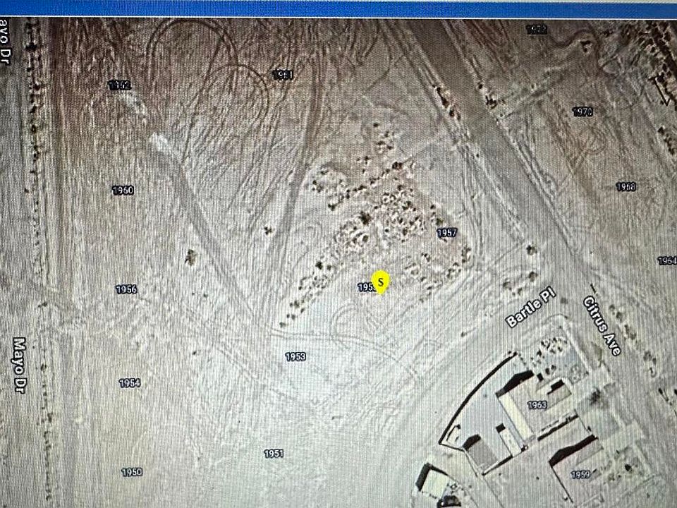 2nd image of 1955 Bartle Pl