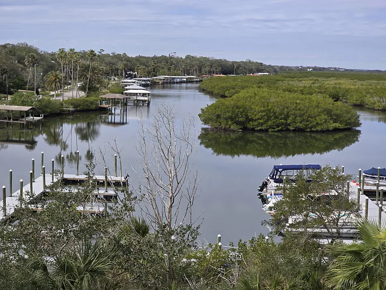 Boat docks. Our river has great salt water fishing, dolphins ,manatees, tropical birds & sea turtles