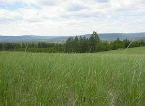 2nd image of 231 Tbd Highway 231