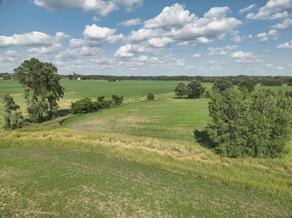 Dewey Rd, Munith, MI 49259