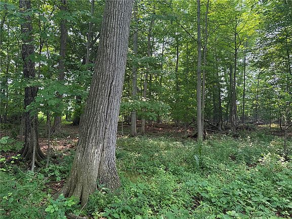 2nd image of 0 Wilson Extension Rd Lot 5