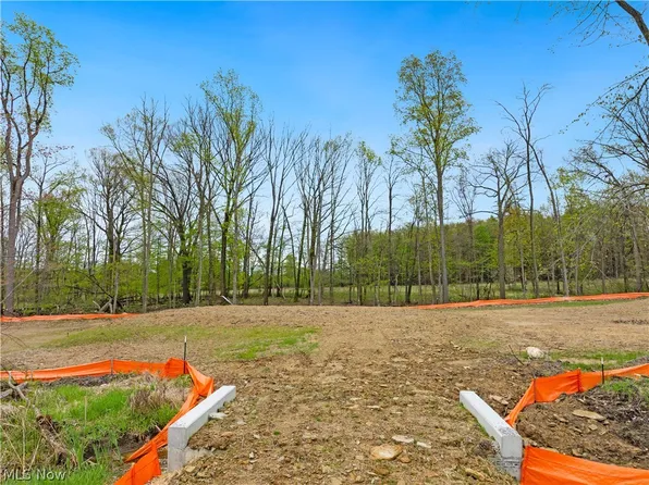 9528 River Birch Run, Brecksville, OH 44141