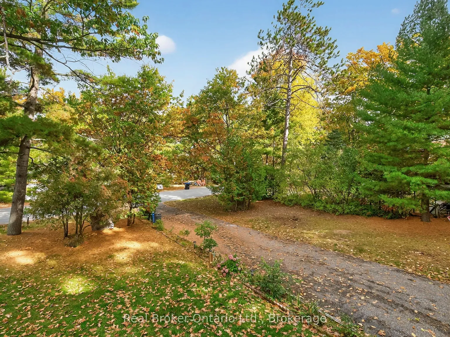 3 bed, $2,800 — Photo 3