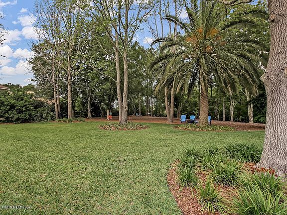 Spectacular Backyard