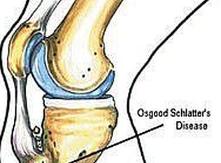 203 Lewisberry Rd, New Cumberland, PA 17070