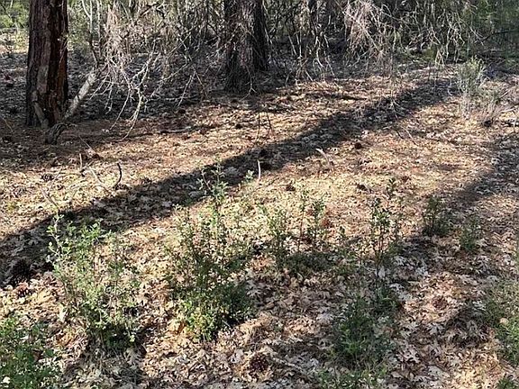 4th image of 5711 Scott River Rd