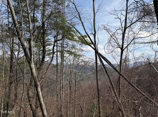 Highway 421, Mountain City, TN 37683