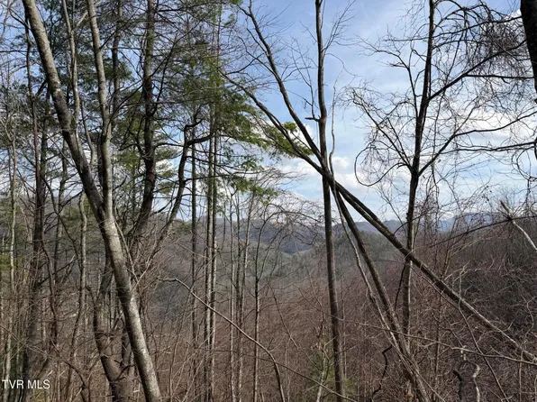 Highway 421, Mountain City, TN 37683