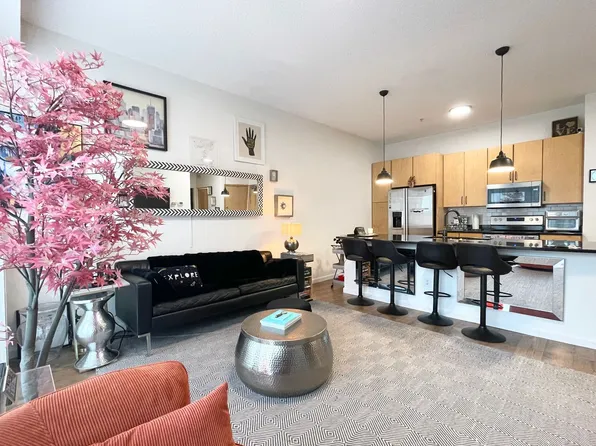 4525 Park Commons Dr Unit 306, Saint Louis Park, MN 55416