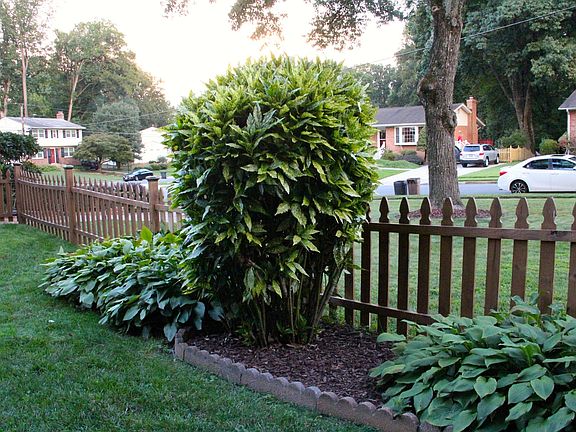 5th image of 10228 Tecumseh Ln