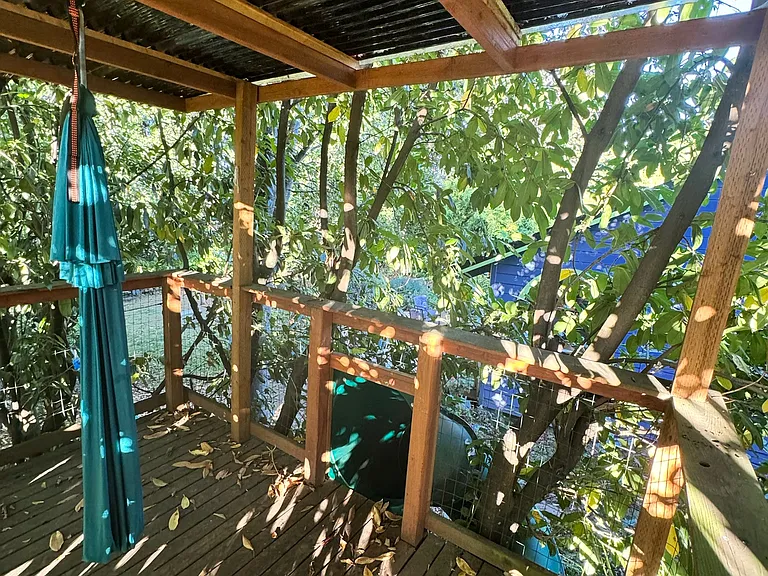 View of yard from tree house.
