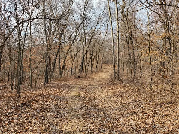 Lot 1 Schroeder Rd, Whitehall, WI 54773
