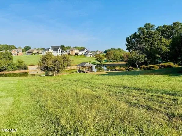 164 Forest Ln N, Blountville, TN 37617