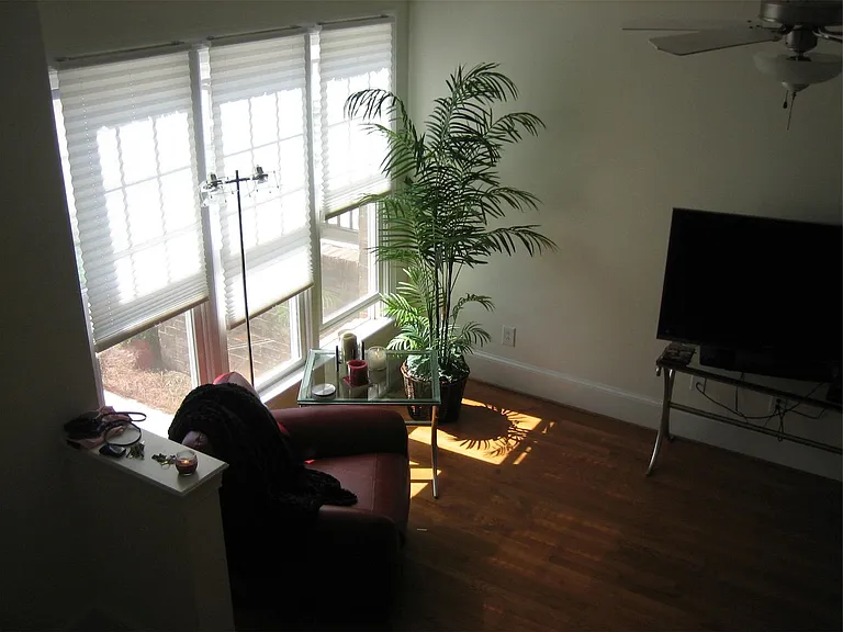 118 Finsbury St — Photo 6