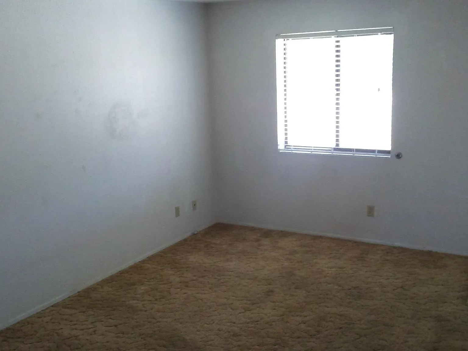 W Morgan Ave, Gallup — Photo 4