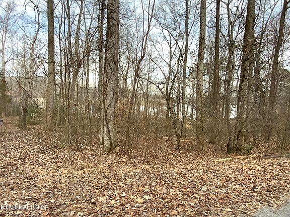 5th image of Coffey Cir