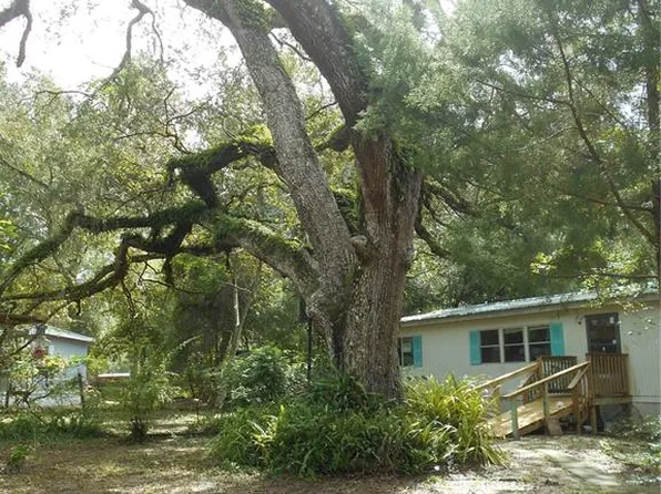 20425 NE 143rd St, Salt Springs, FL 32134