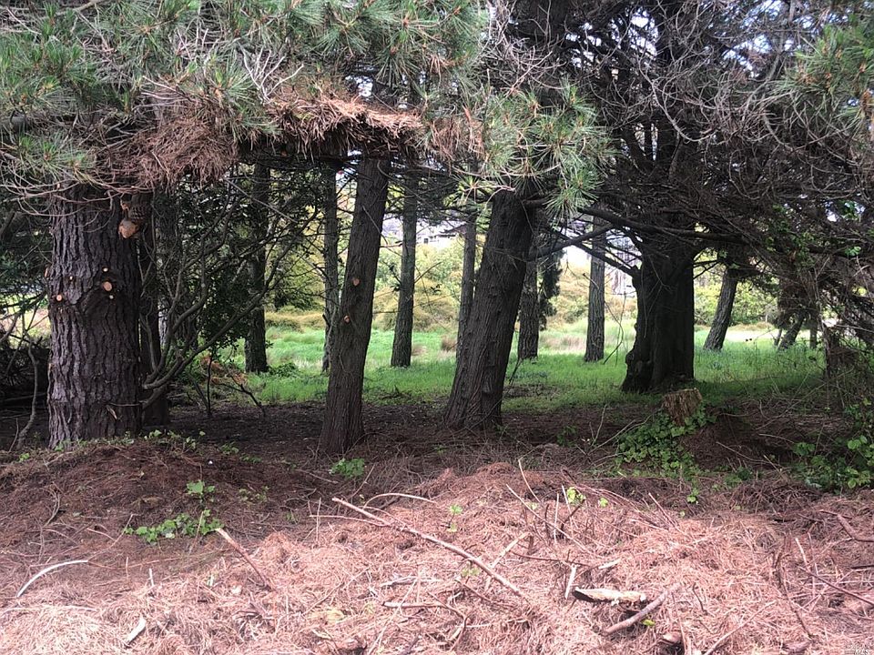 150 Pine Rd, Bolinas, CA 94924 Zillow