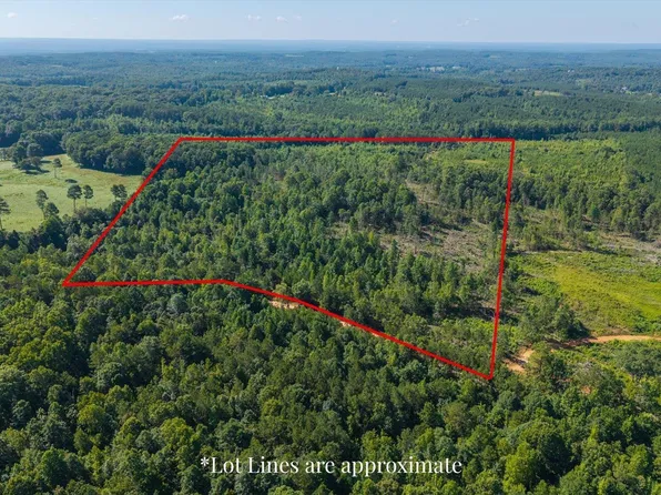 0 County Road 404 Tract #1, Heflin, AL 36264