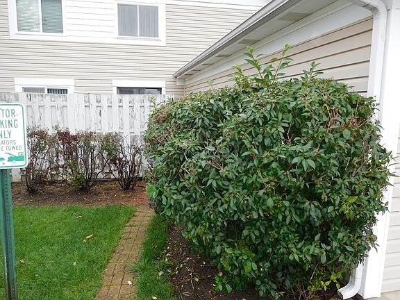 3rd image of 1511 Cornell Ct