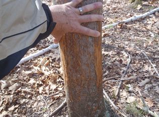 100 E Doville Rd, Harrisville, MI 48740