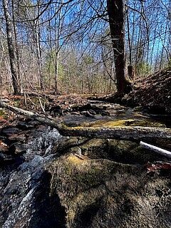 1st image of Orb Cordell Rd