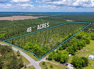 11 Sandy Ramp Rd, Defuniak Springs, FL 32433