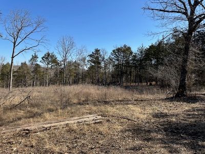 Warden Rd, Omaha, AR, 72662