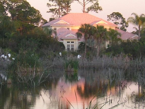 2nd image of 5279 White Ibis Dr