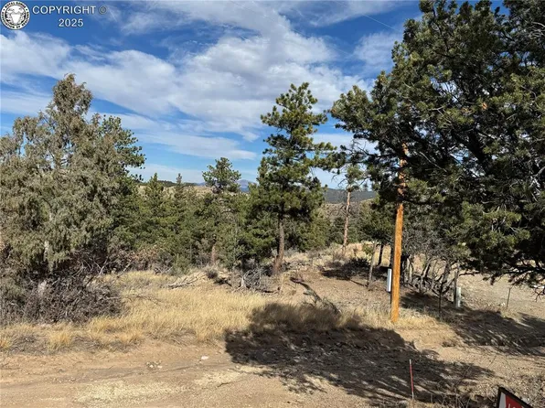 2926 E Path, Cotopaxi, CO 81223