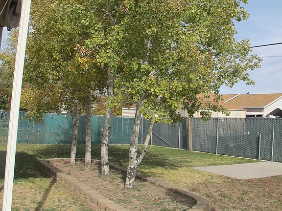 Large yard with trees!