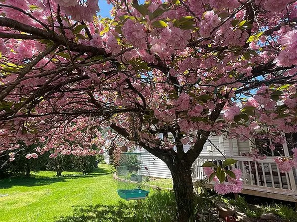 385 Silver Spring Rd, Mechanicsburg, PA 17050