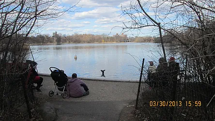 Sold by Judi Friedman