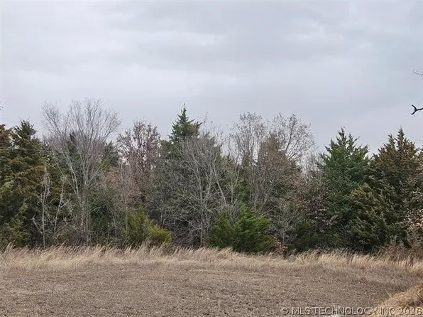 Culp Dr, Burneyville, OK 73430