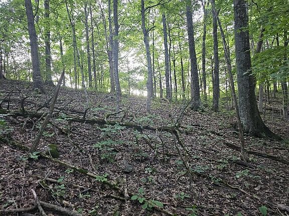 5th image of 5 Bridgeport Benson Rd