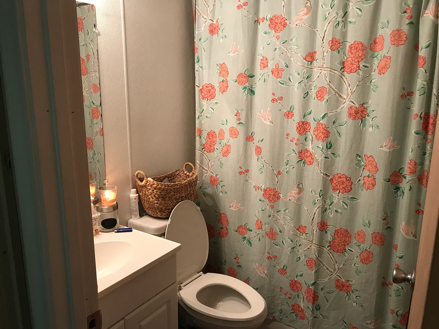 2 bed, 800 sqft, $1,300 — Photo 4