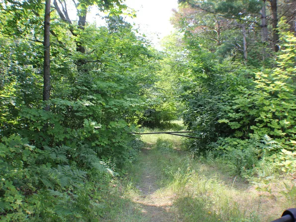 5744 N Webb Rd, Hessel, MI 49745