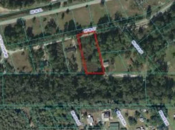30530 NE 96th St, Salt Springs, FL 32134