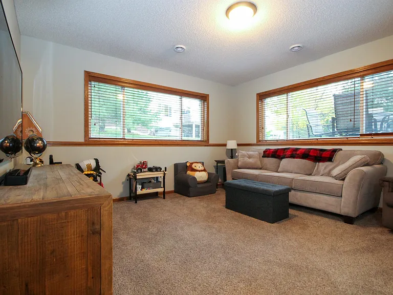 Downstairs Family Room