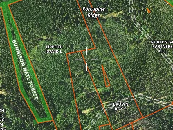 TBD Erie Mine Road, White Pine, CO 81248