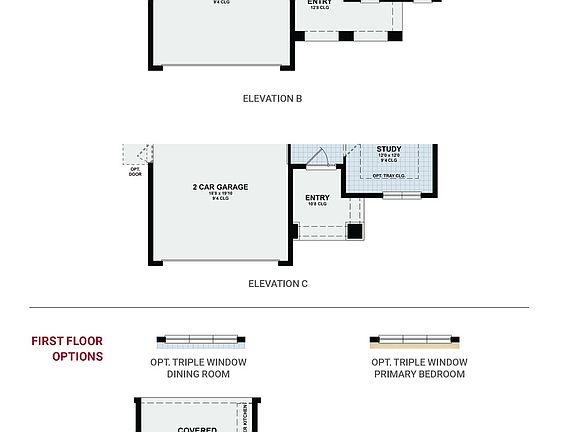 Ashford First Options