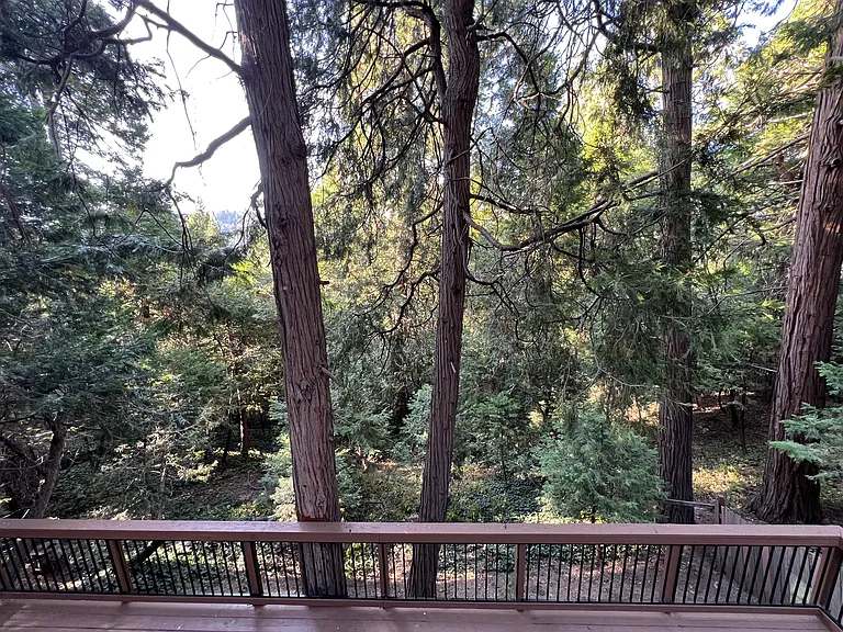 23796 Scenic Dr — Photo 7