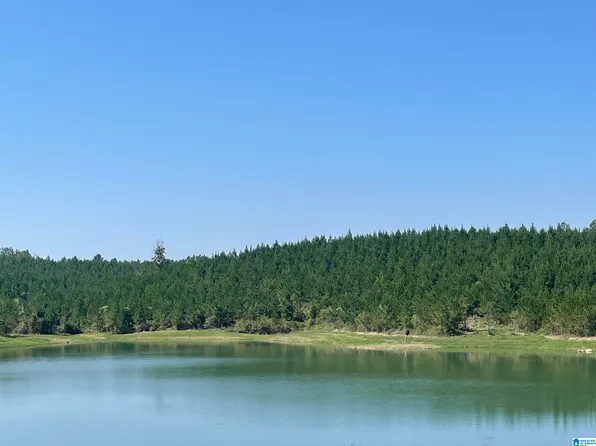 3679 Chelsea Rd #1, Columbiana, AL 35051