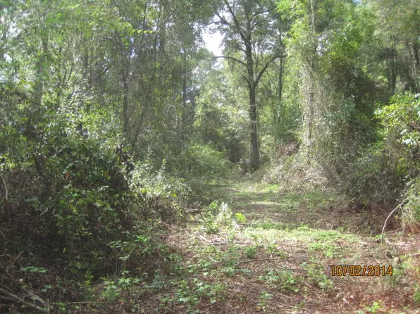 2966 Spain Rd, Quitman, GA 31643