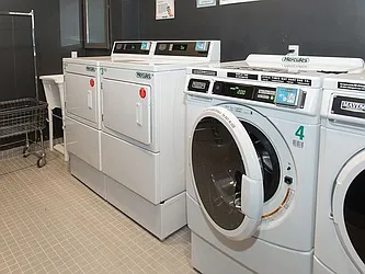 Rented by Cyberapts Management