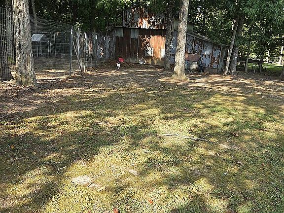 4th image of 295 Winkles Rd