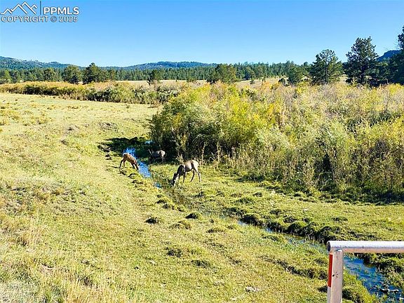 2nd image of Rosebush Rd